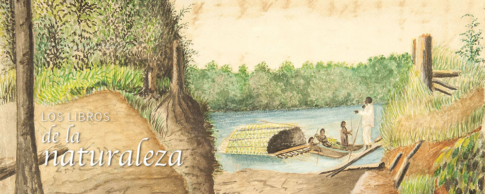 Puerto de Puicuntí en el Orteguaza - José María Gutiérrez de Alba