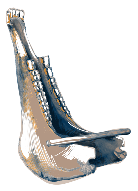 Quijada — Soun fahn ya Sounds from here, Sonidos de acá